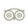 Trip Advisor Icon